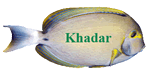Khadar